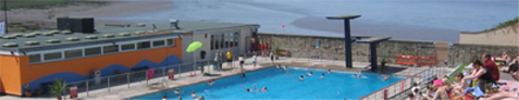 banner477.jpg